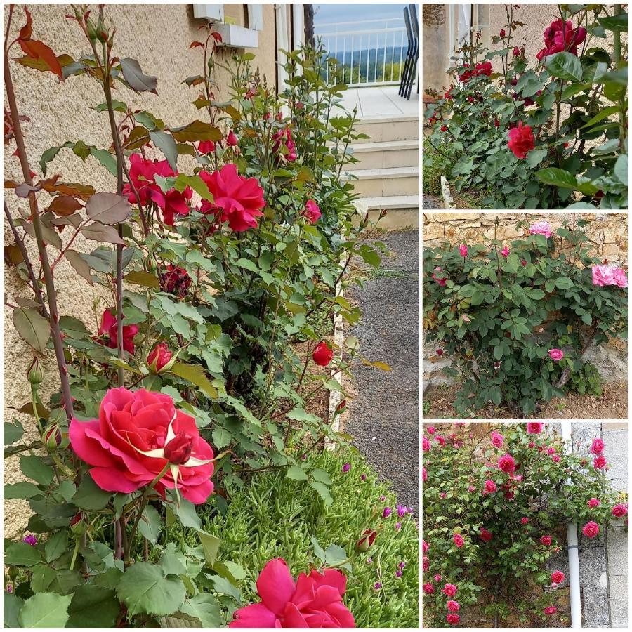 Bed and Breakfast La Mesange Bleue Ecuras Exterior foto